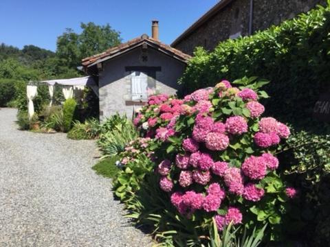 Loft Atypique Bed & Breakfast Villeneuve-de-Riviere